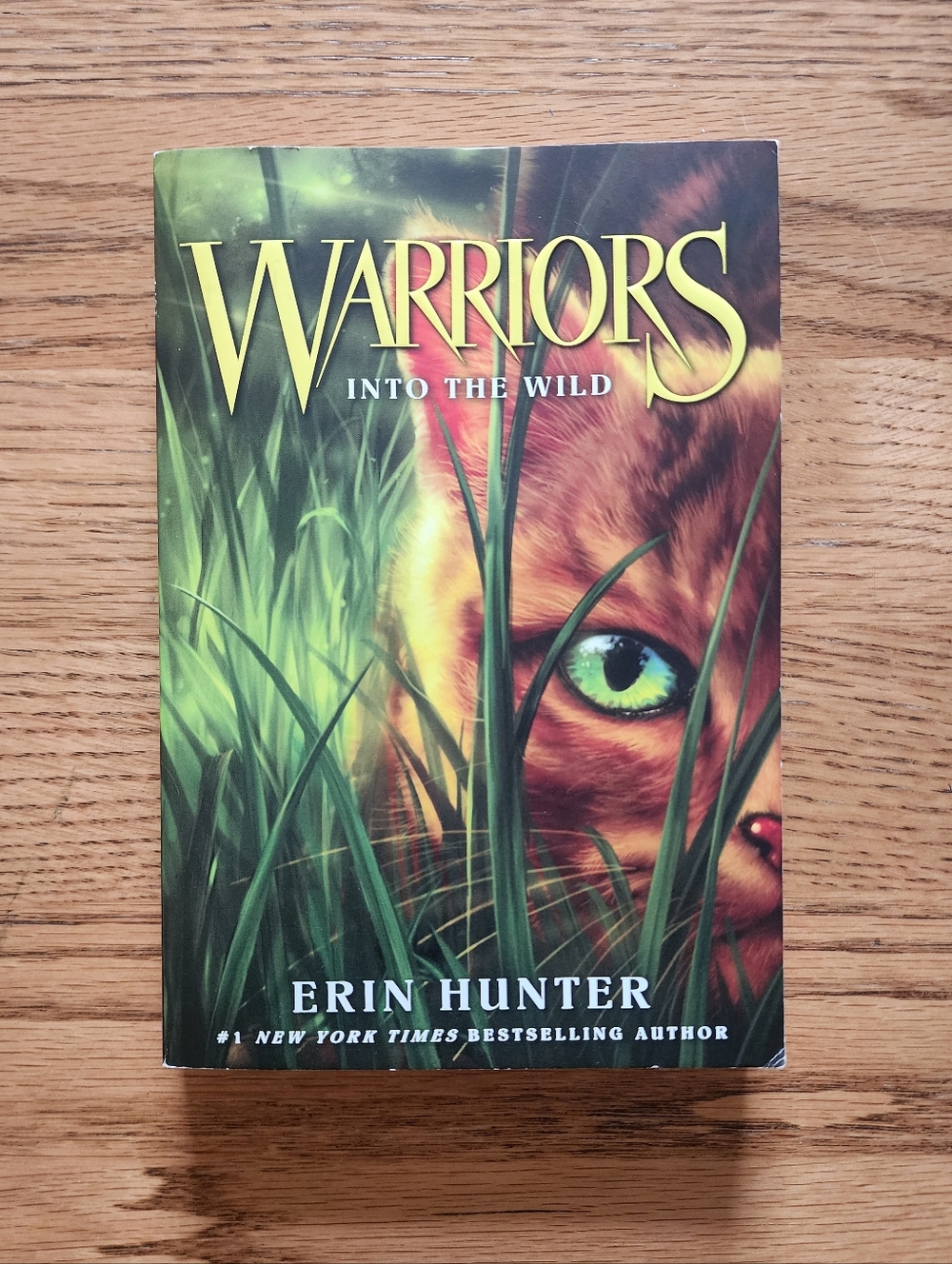 Warriors Into the Wild The Prophecies Begin Series Children's Fiction Novel